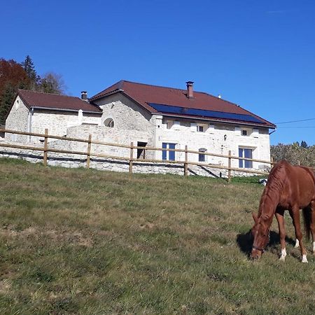 Chambres D'Hote Des 3 Marches Lamoura Dış mekan fotoğraf